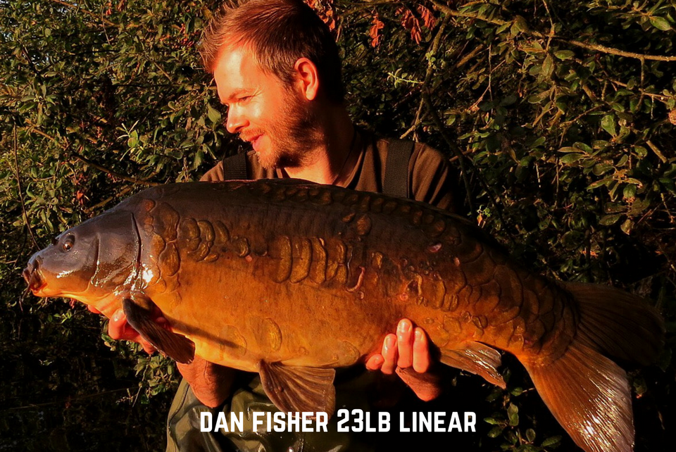Dan Fisher 23lb Linear