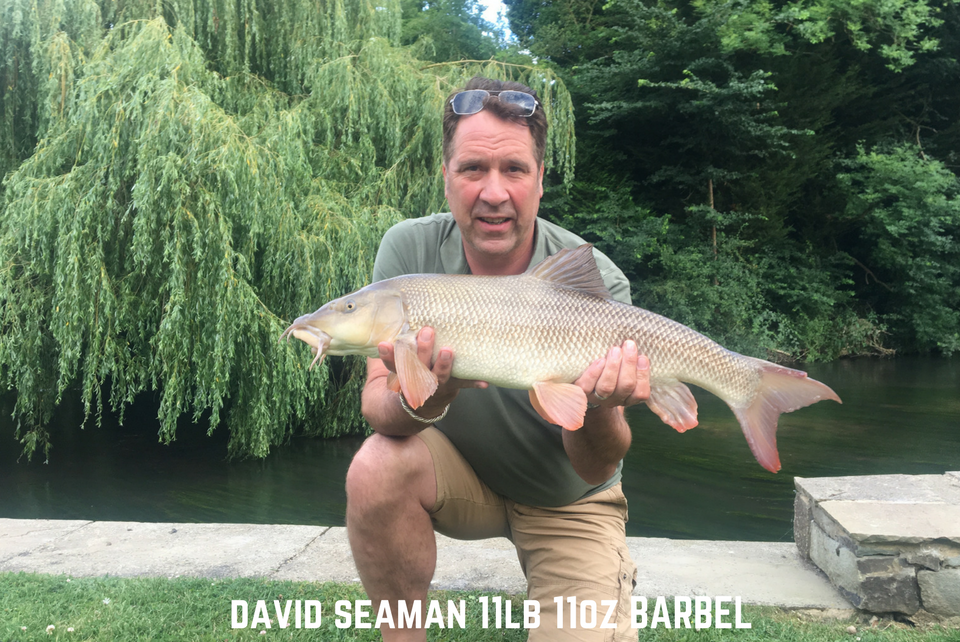 David Seaman 11lb 11oz Barbel