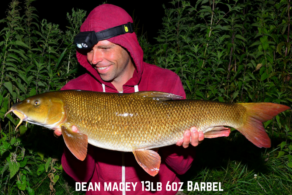 Dean Macey 13lb 6oz Barbel