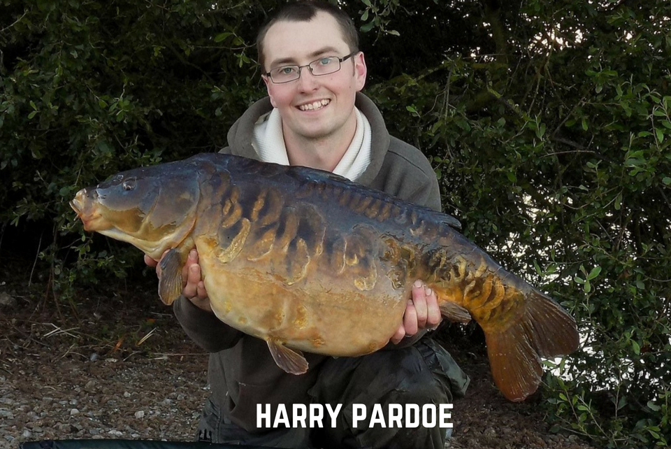 Harry Pardoe Carp