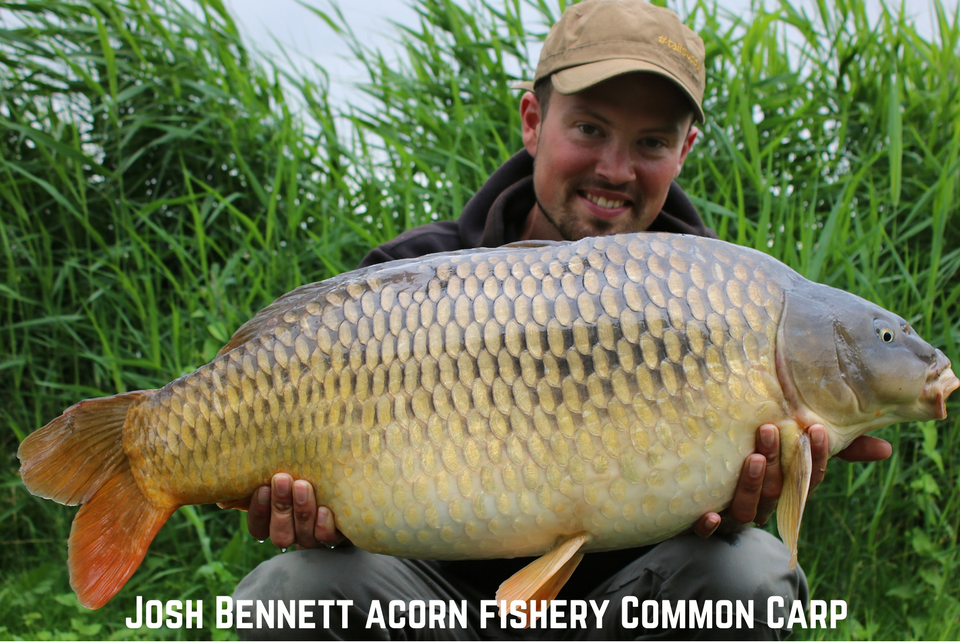 Acorn Fishery with Josh Bennett