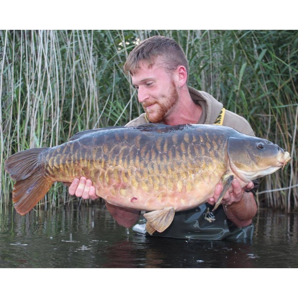 Ryan Boyda Carp