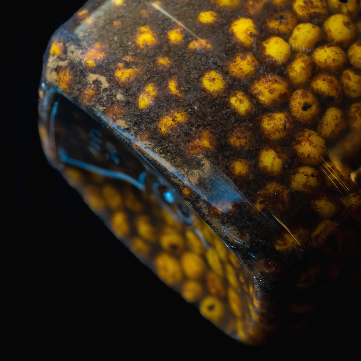 Hinders Prepared Particle Jars 3.5 Litre