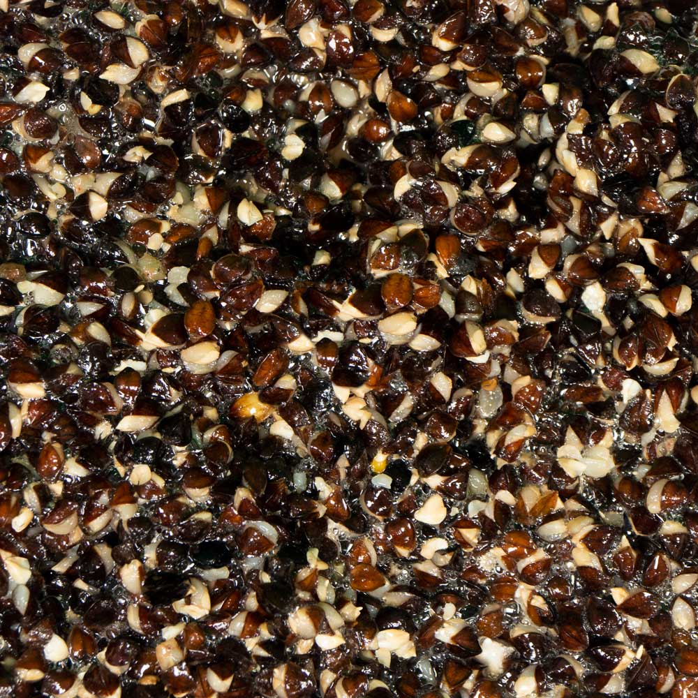 Buckwheat prepared for Carp Fishing