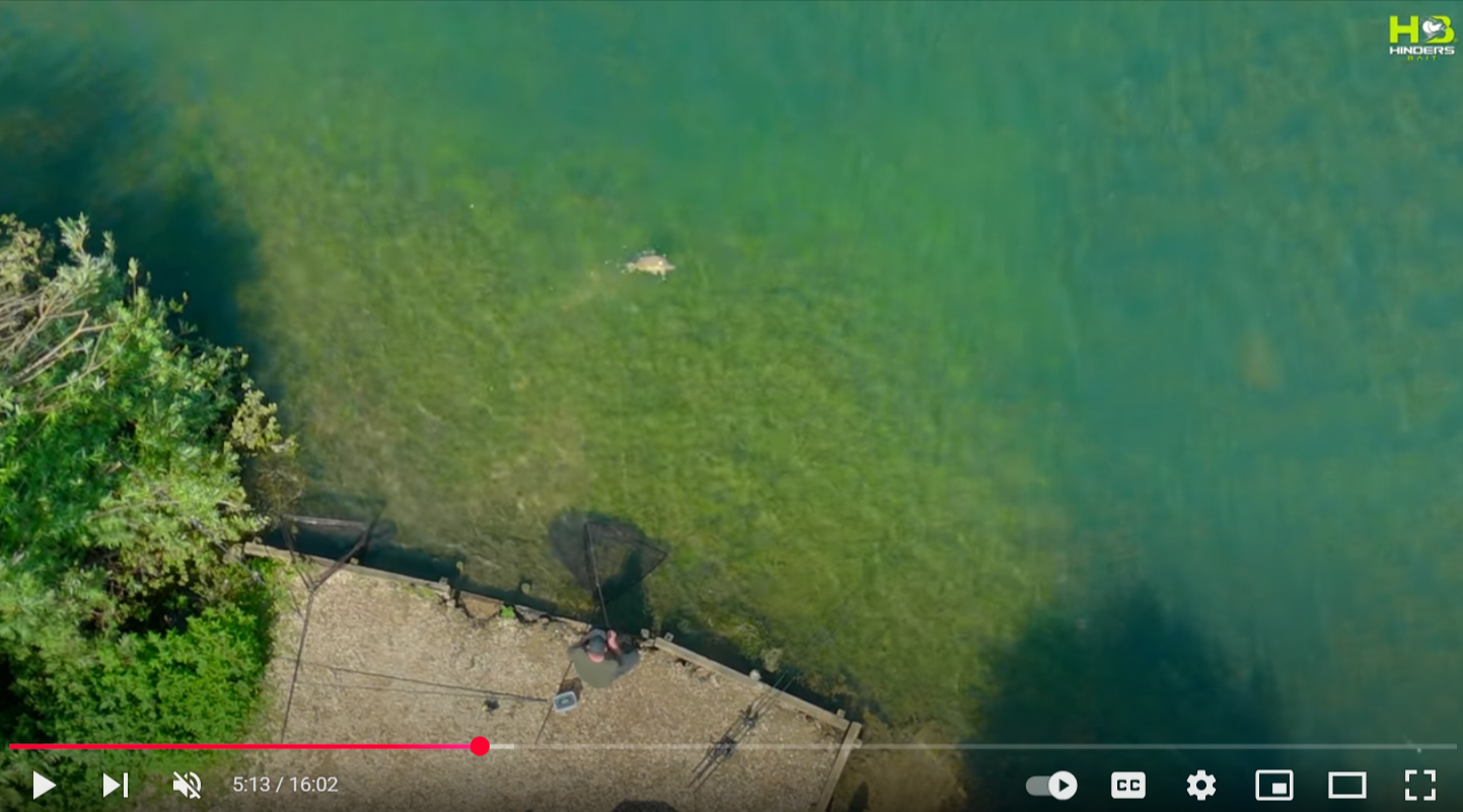 WALL-TO-WALL CARP AT LINEAR FISHERIES