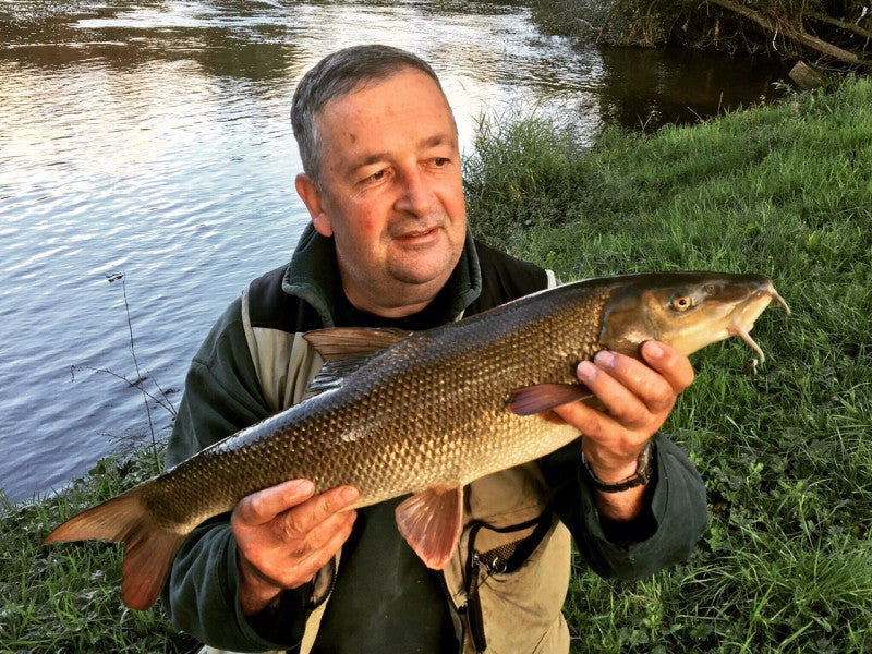 Update from the River Wye