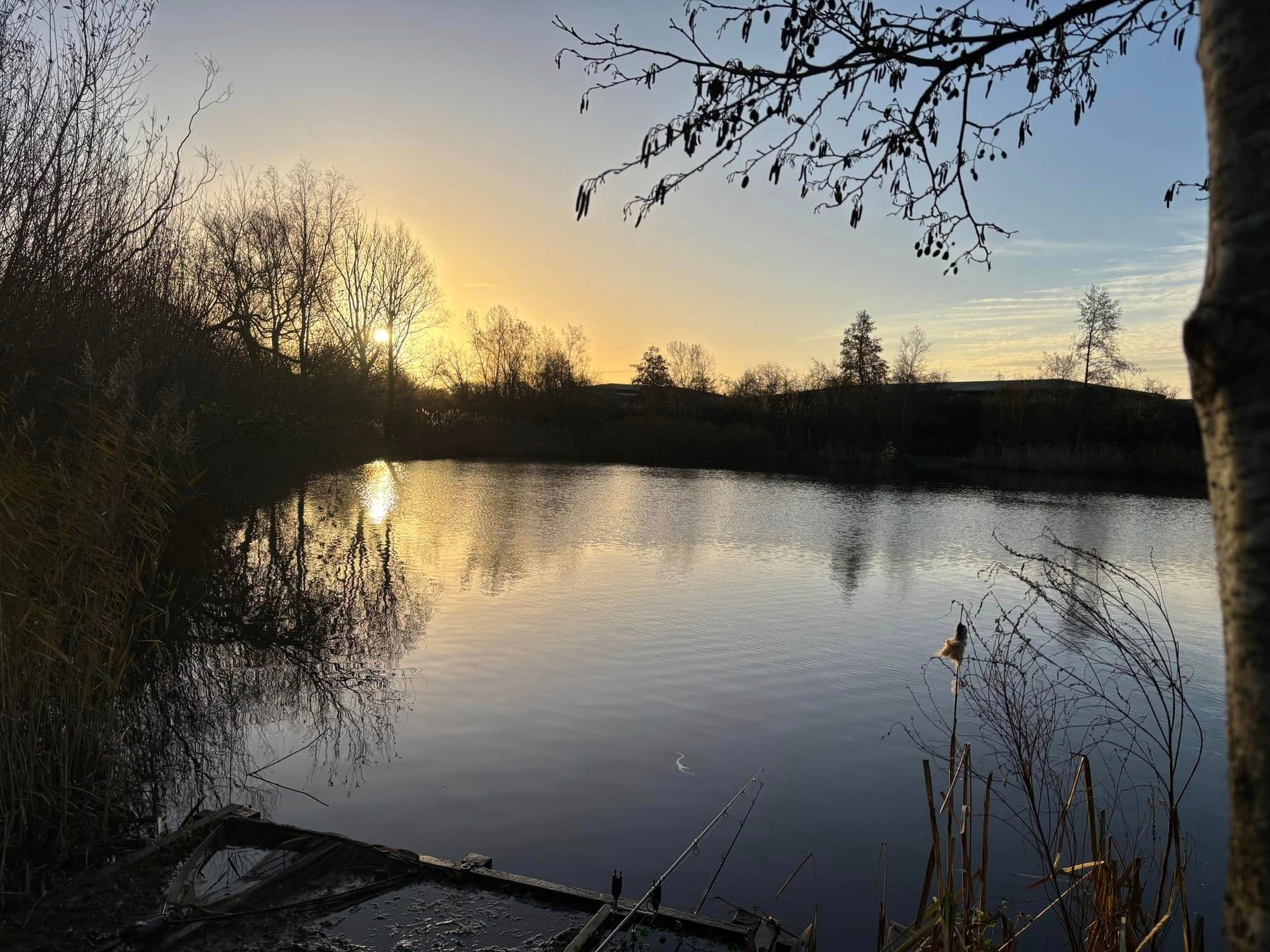 Island Lakes, Theale Fisheries