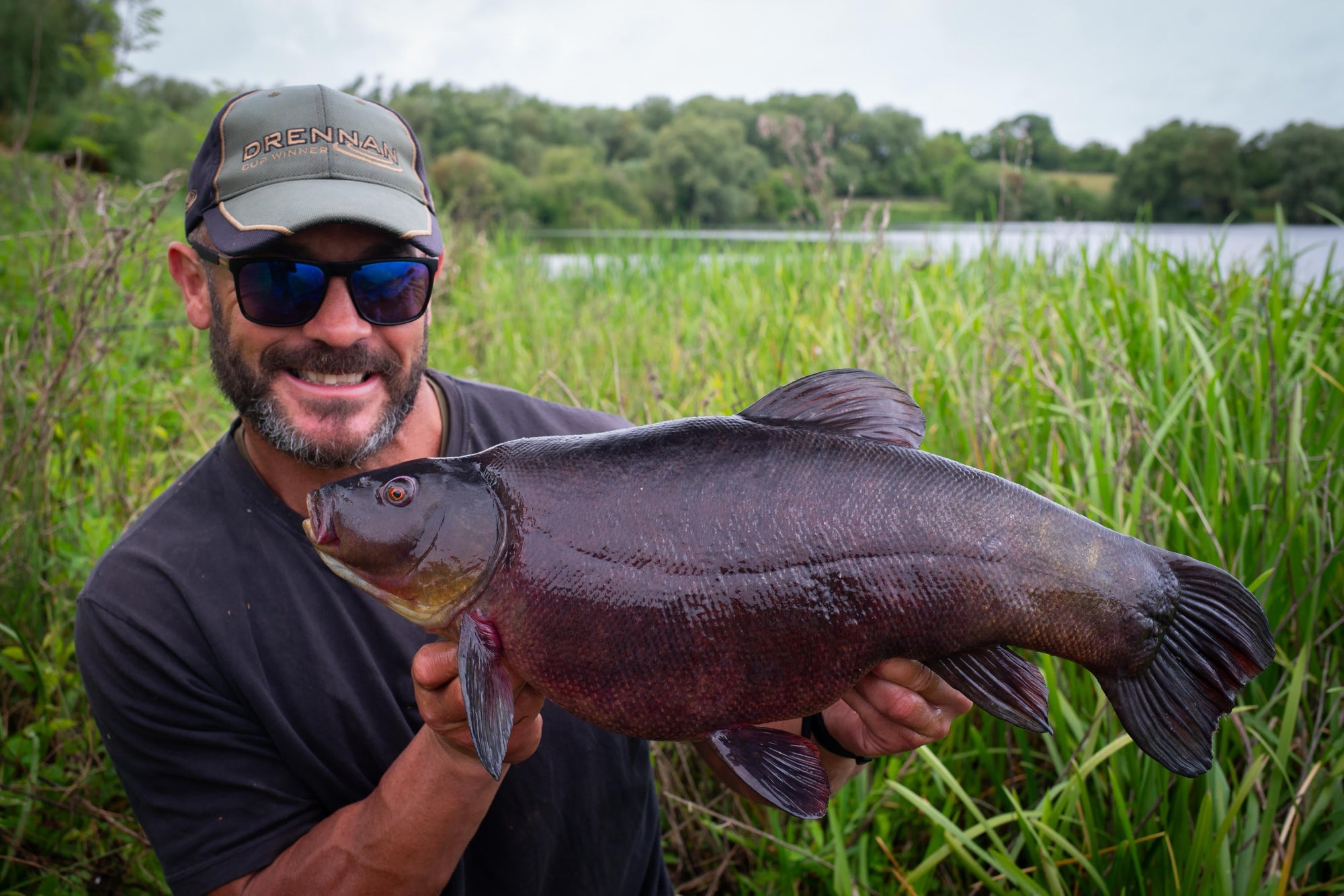 Massive Tench