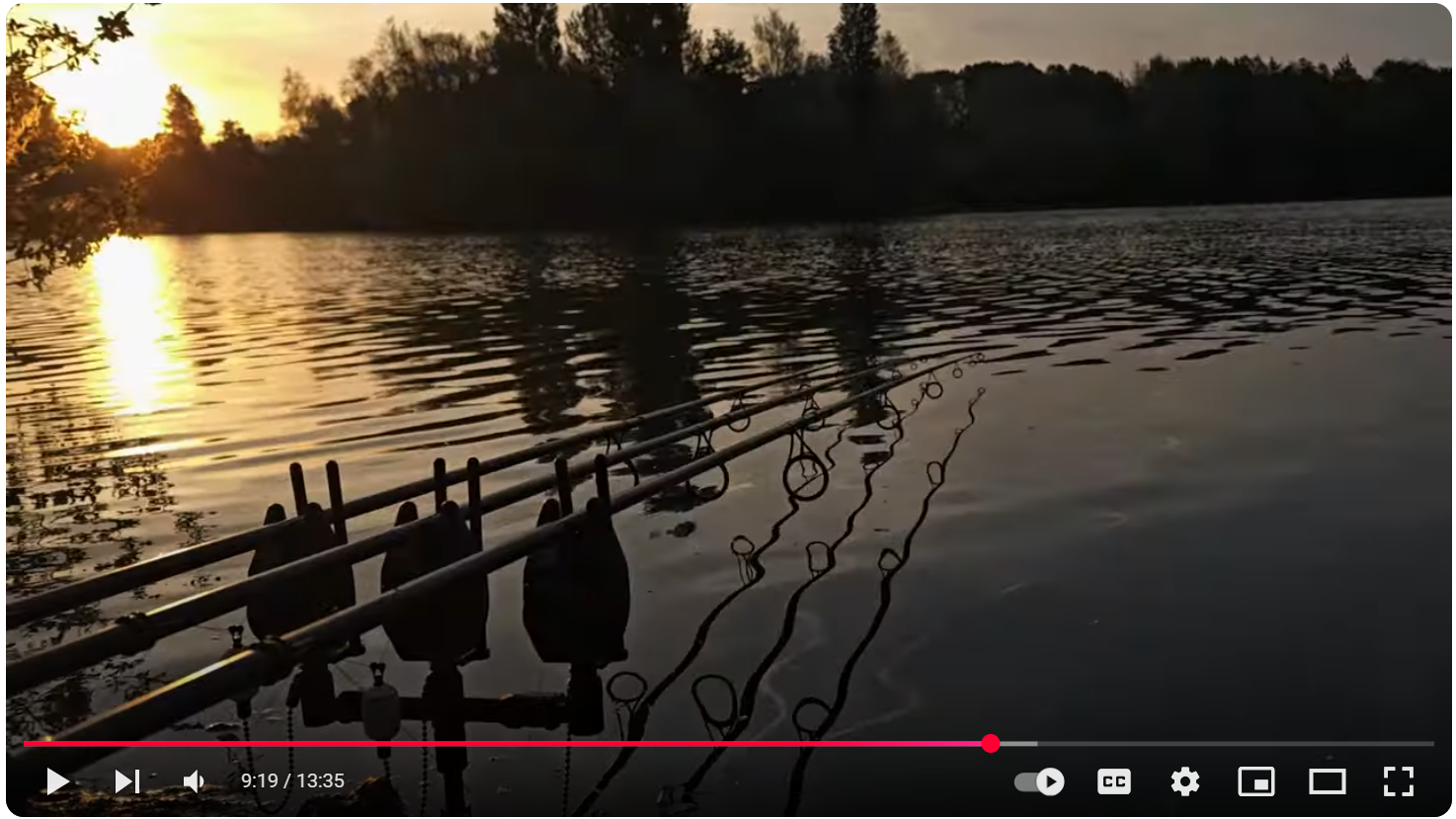Chasing Carp at Linear: 48 Hours Across Oxlease & B2