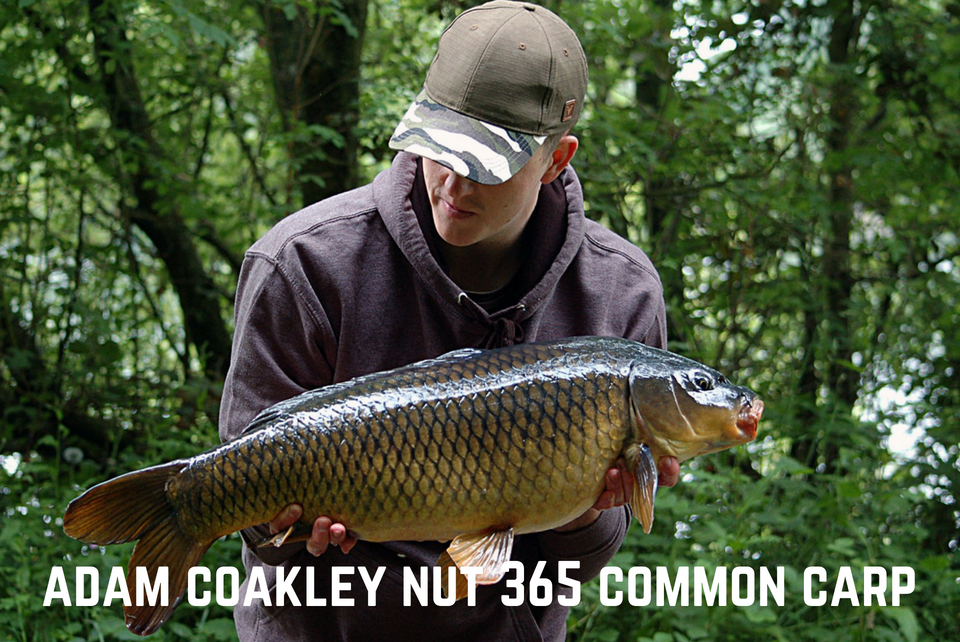 Adam Coakley Common Carp
