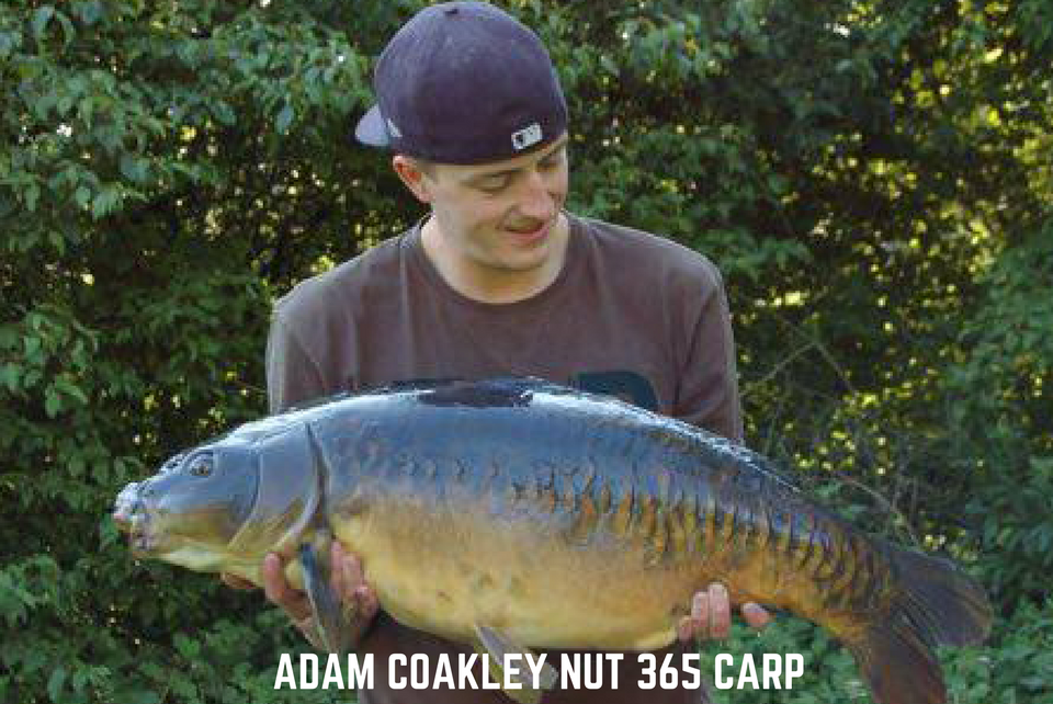 Adam Coakley Nut 365 Carp