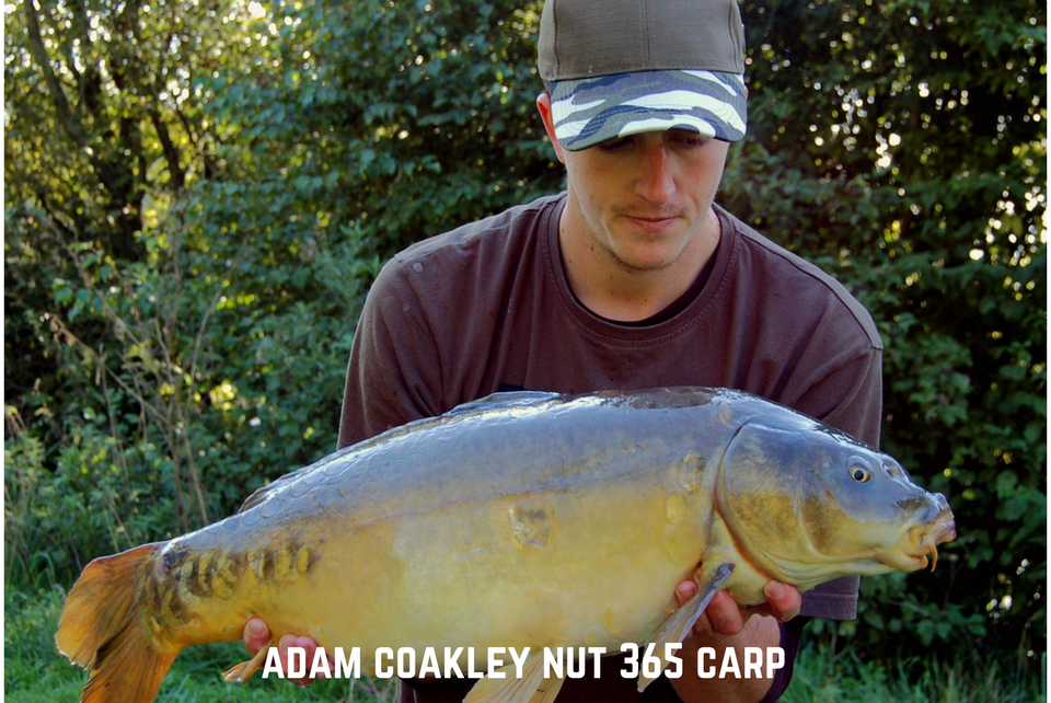 Adam Coakley Nut 365