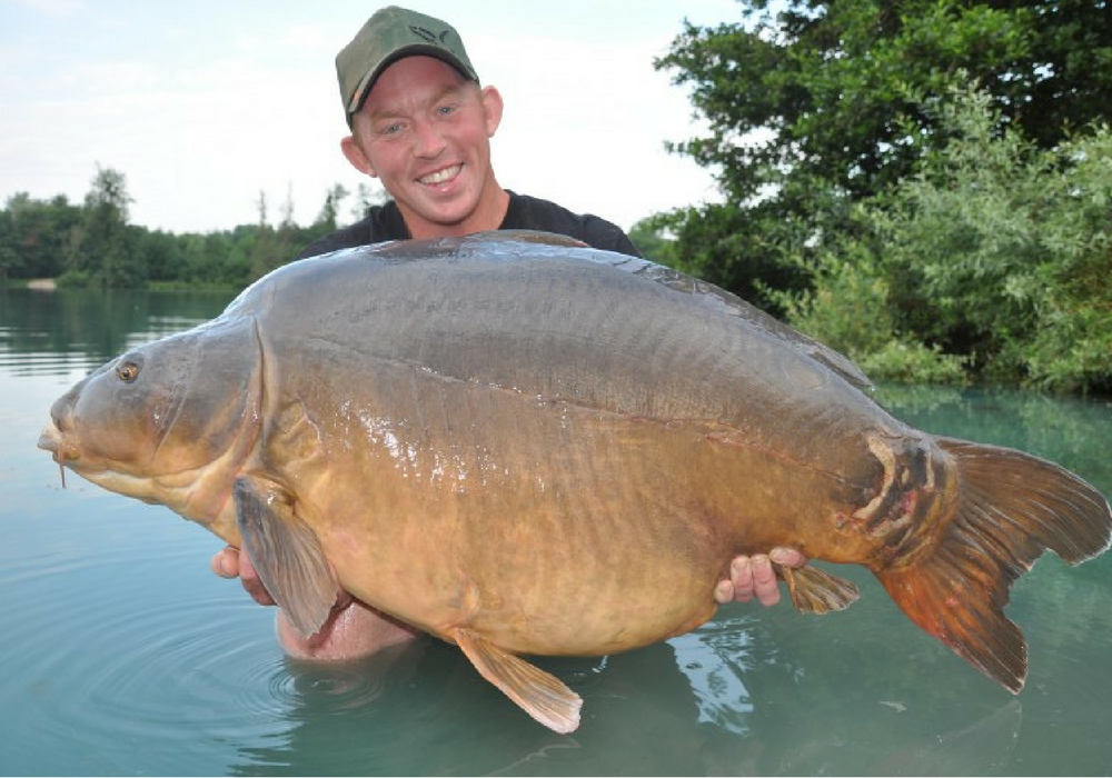 Mark Bartlett French Mirror Carp