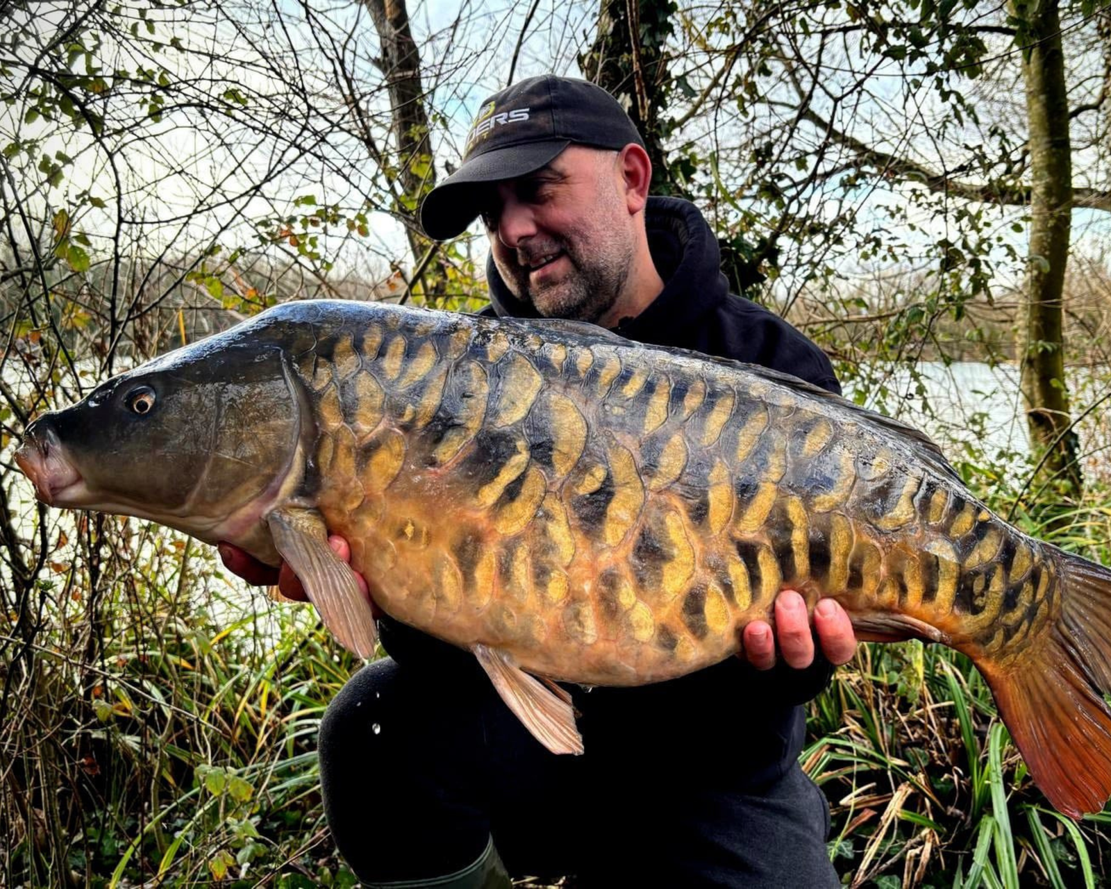 Betelin Spring Betalin-B Equals Bramble Mere bangers - Hinders Baits