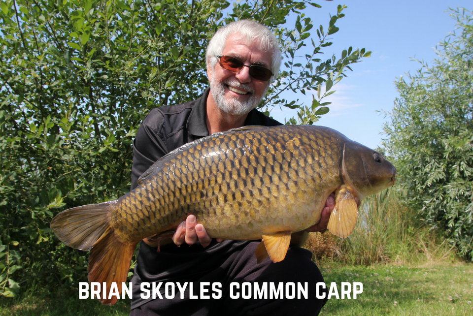 Brian Skoyles Common Carp