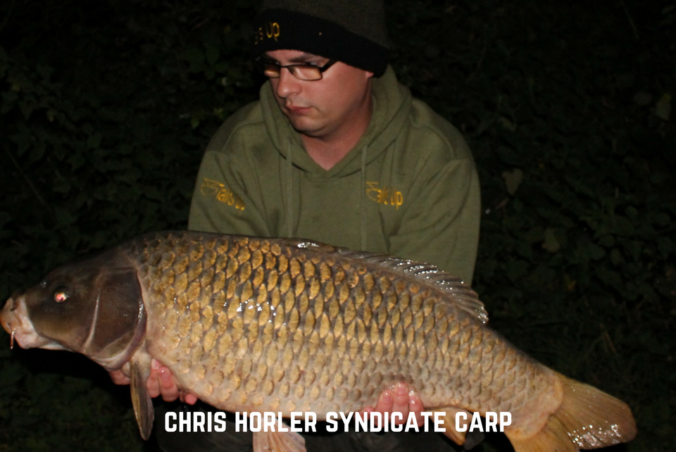 Syndicate Carping