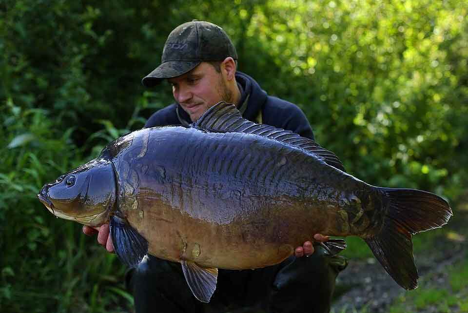 A Stunner for Craig on the Mystic Plum