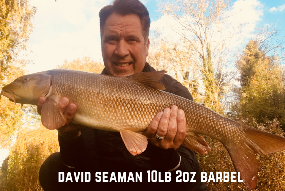 Another Barbel for David Seaman
