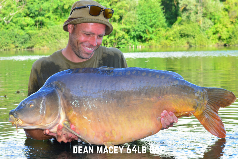 Dean Macey 64lb 8oz