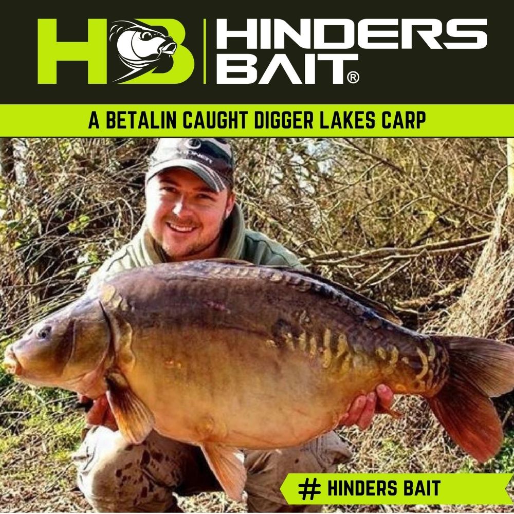Digger Lakes Adventure Carp