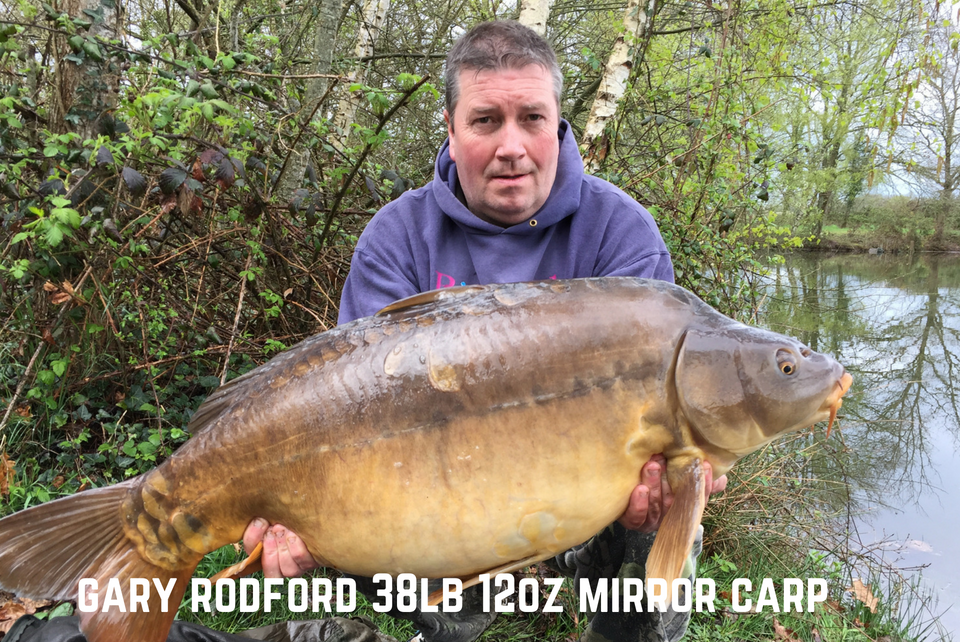Gary Rodford 38lb 12oz Mirror Carp
