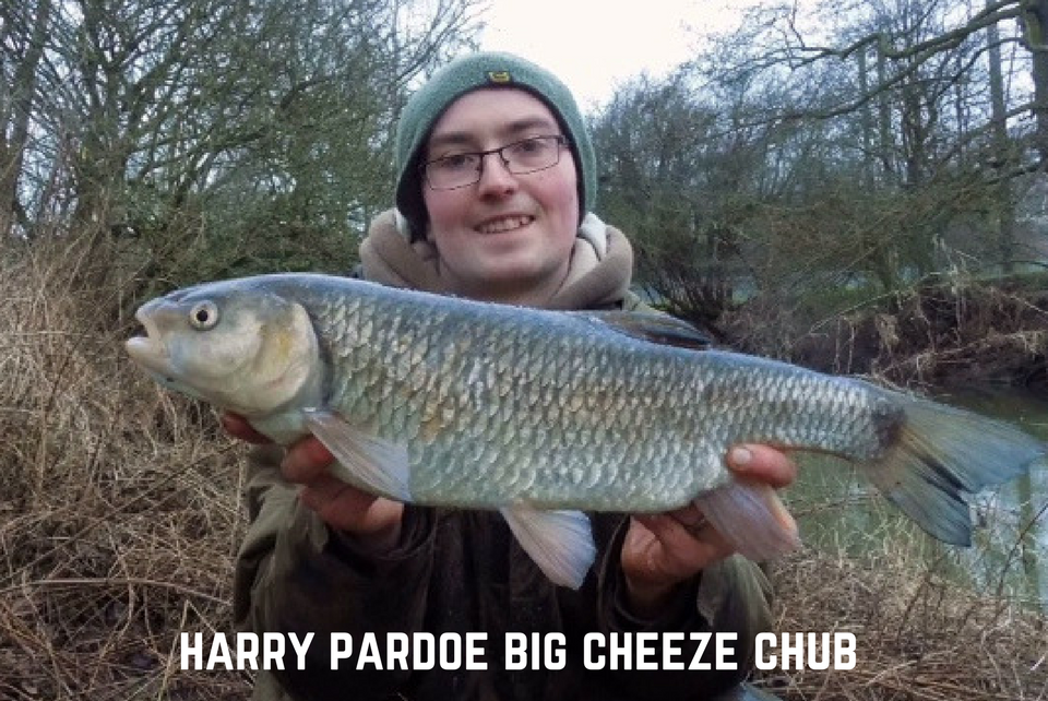 Harry Pardoe Big Cheeze Chub