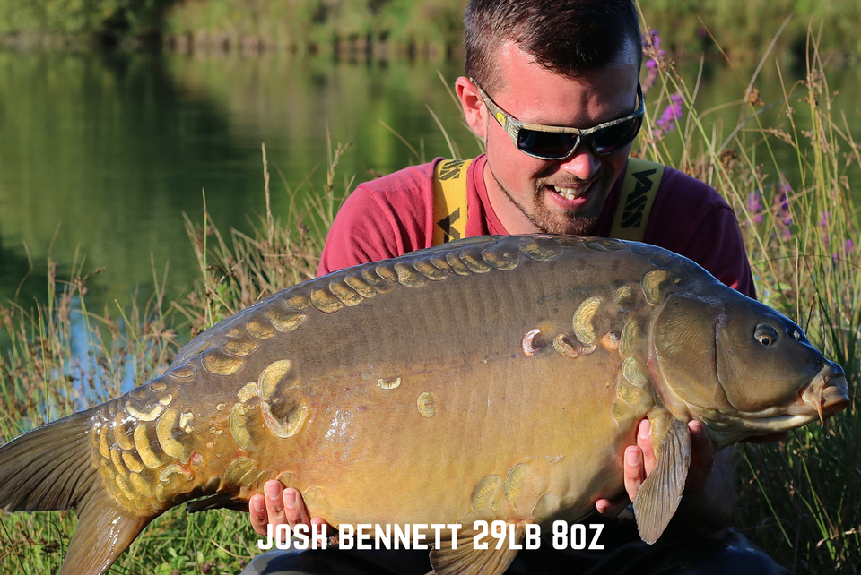 Summer Social with Josh