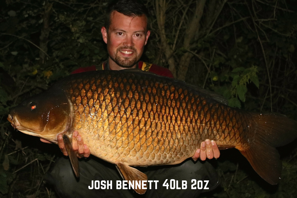 Josh Bennett 40lb 2oz Common Carp