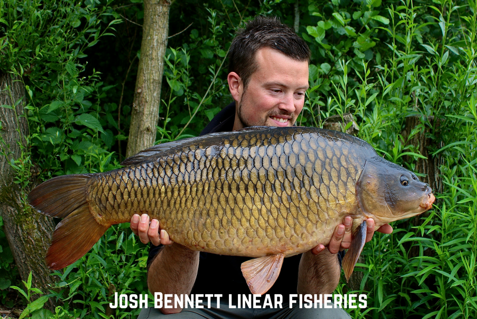 Josh Bennett Linear Fisheries