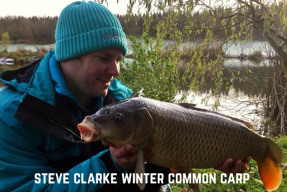Steve Clarke Winter Common