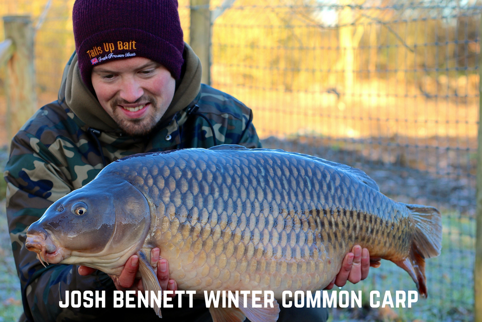 Josh Bennett Winter Common Carp