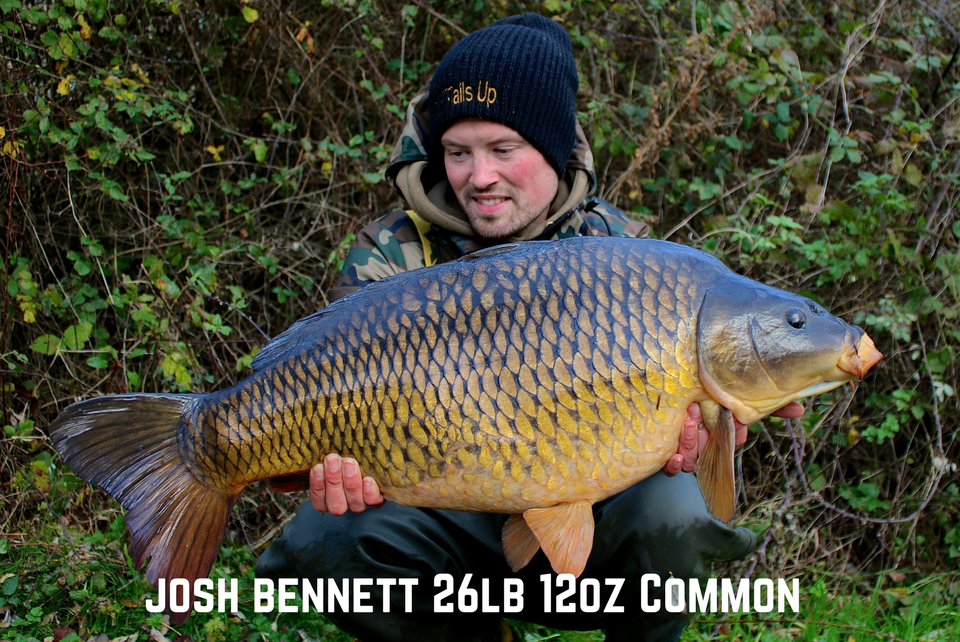 Josh Bennett 26lb 12oz Common Carp