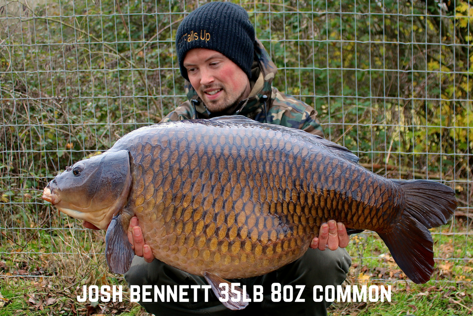 Josh Bennett Winter Common