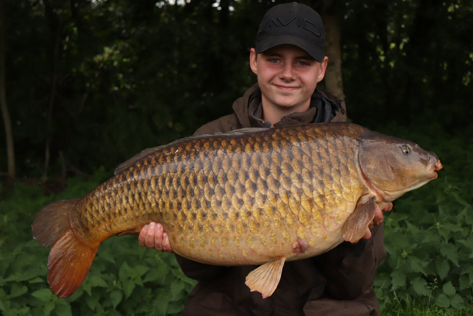 Particles – the forgotten baits? - Big Carp News