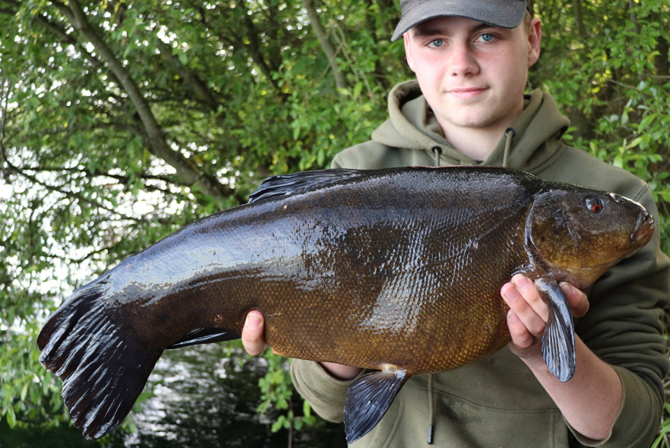 Over 40lb of Tench for Kane