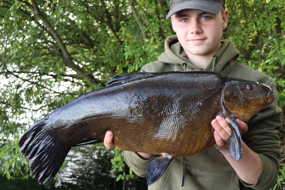 Double figure Tench for Kane