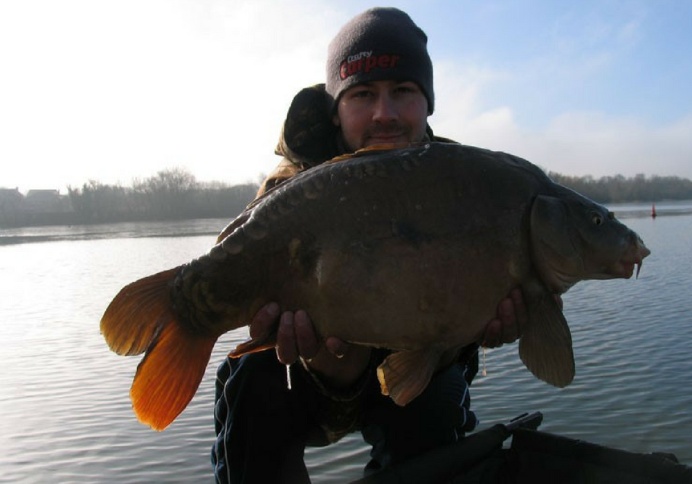 Karl Palmer Drayton Carp