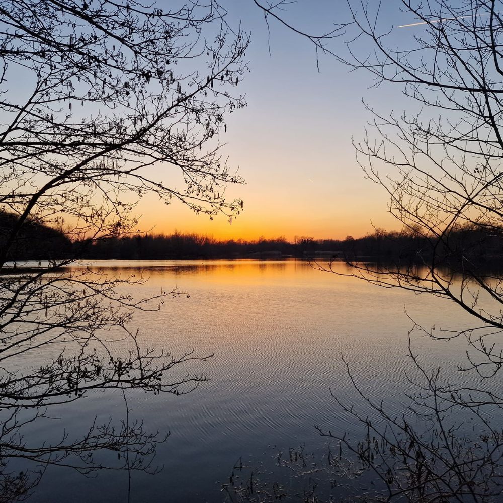 Man Flu Didn't Stop Me From Catching a 36lb 8oz Carp!