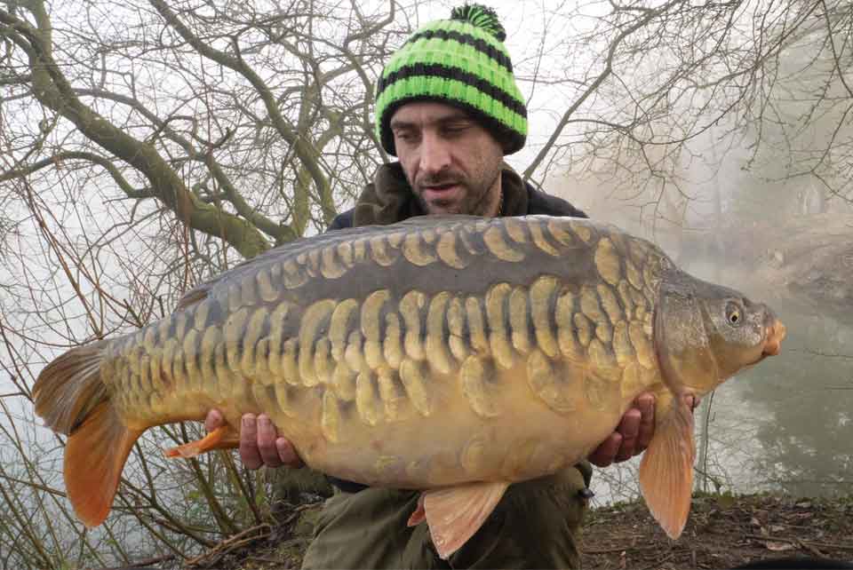 Scaly Stunner for Luke on Betalin and Black!