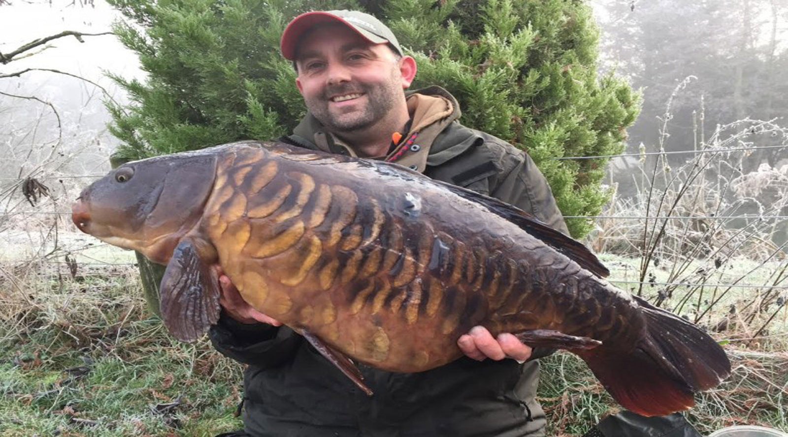 Mark Wells Home Pool Carp