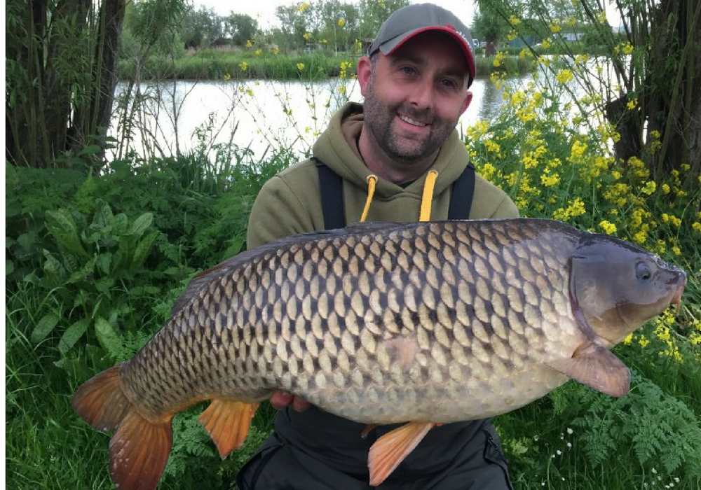 Mark with an Acorn Common Carp