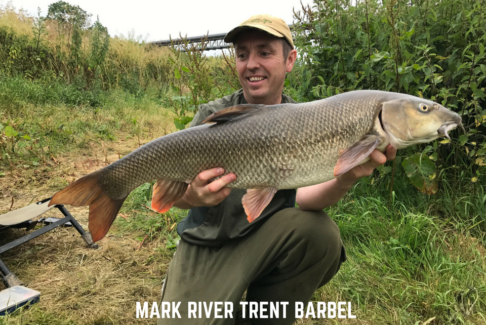 Barbel Fishing on the River Trent - Hinders Baits