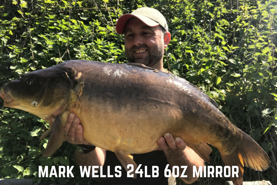 Mark Wells 24lb 6oz Mirror Carp