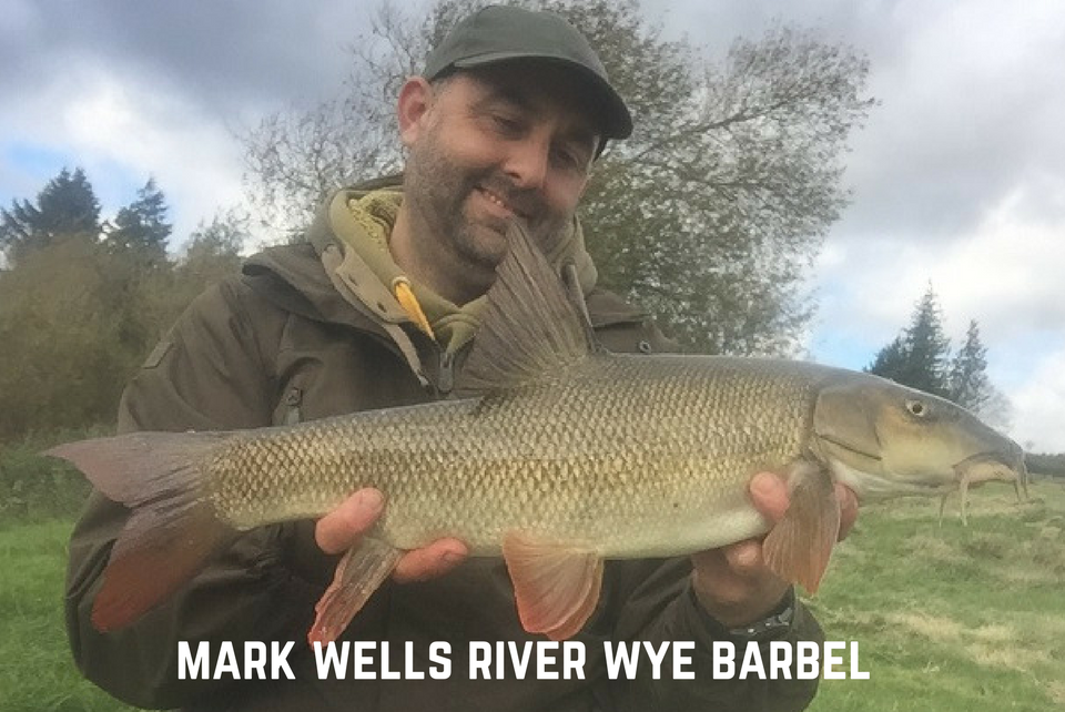 Mark Wells River Wye Barbel