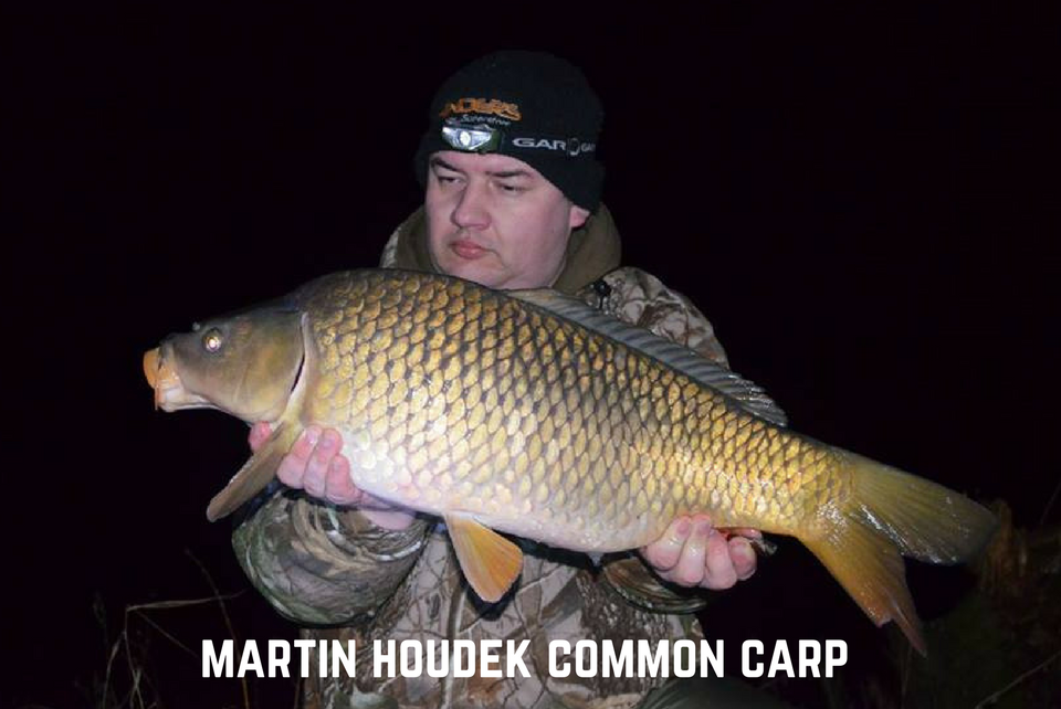 Martin Houdek Common Carp