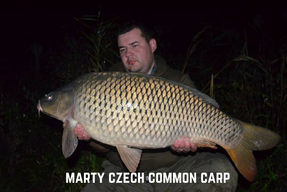 Marty Czech Common Carp