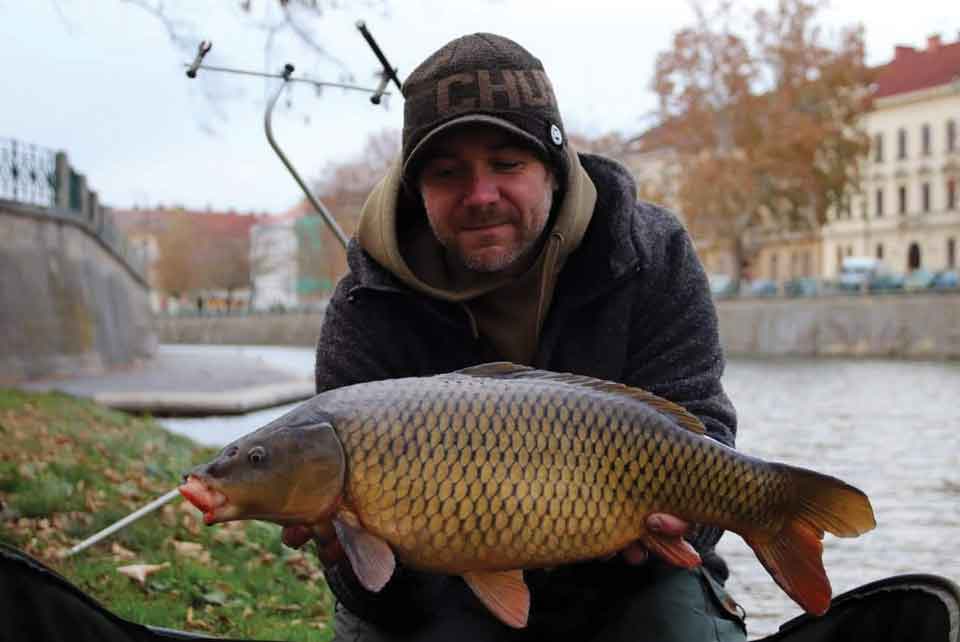 Winter Urban Fishing on the River Labe