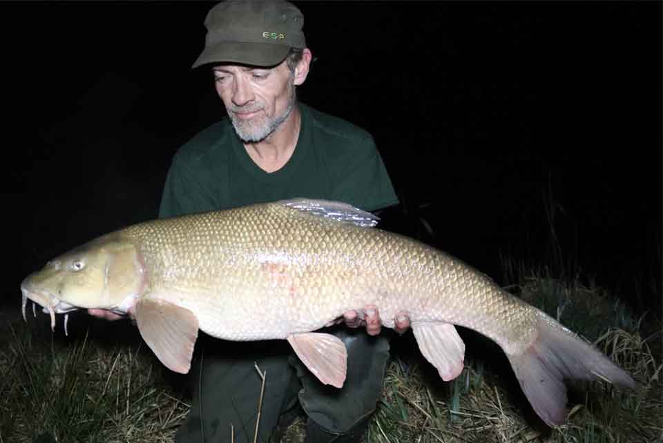 Don't Let Snags Hinder Your Fishing! Paul Potter