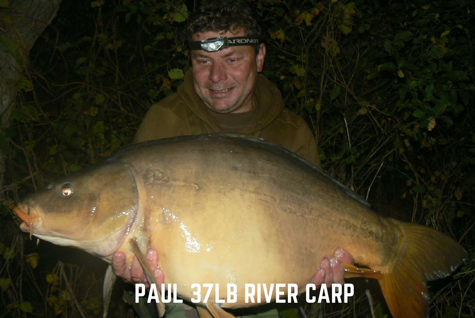 Stunning Czech River Carp