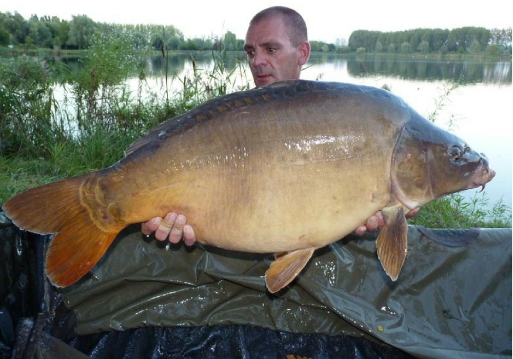 Paul Sharpe with a French Mirror Carp